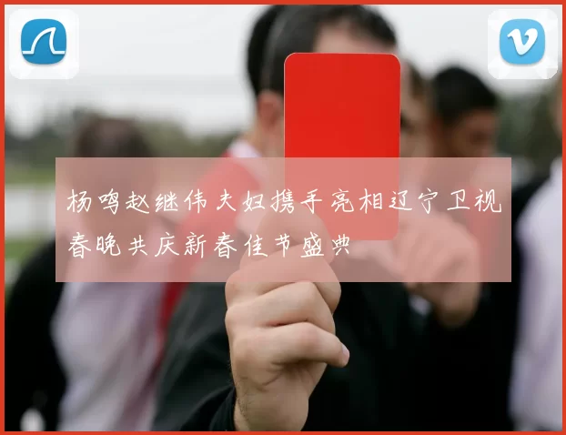 杨鸣赵继伟夫妇携手亮相辽宁卫视春晚共庆新春佳节盛典
